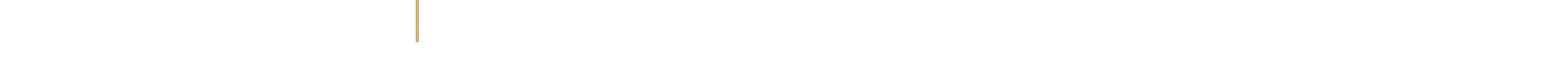 jewellery-vertical-line-leftt-brown-bg