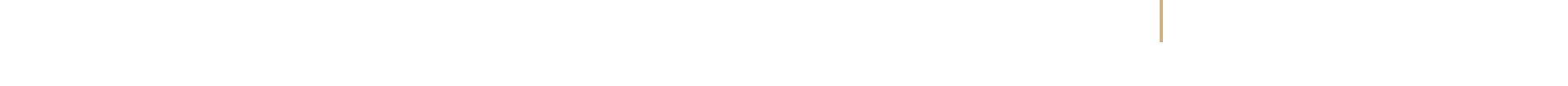 jewellery-vertical-line-right-brown-bg2